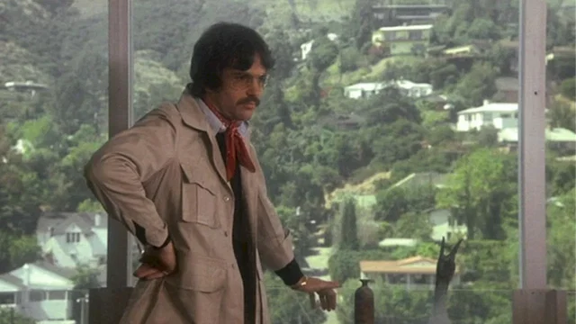 Photo 2 du film : Shampoo