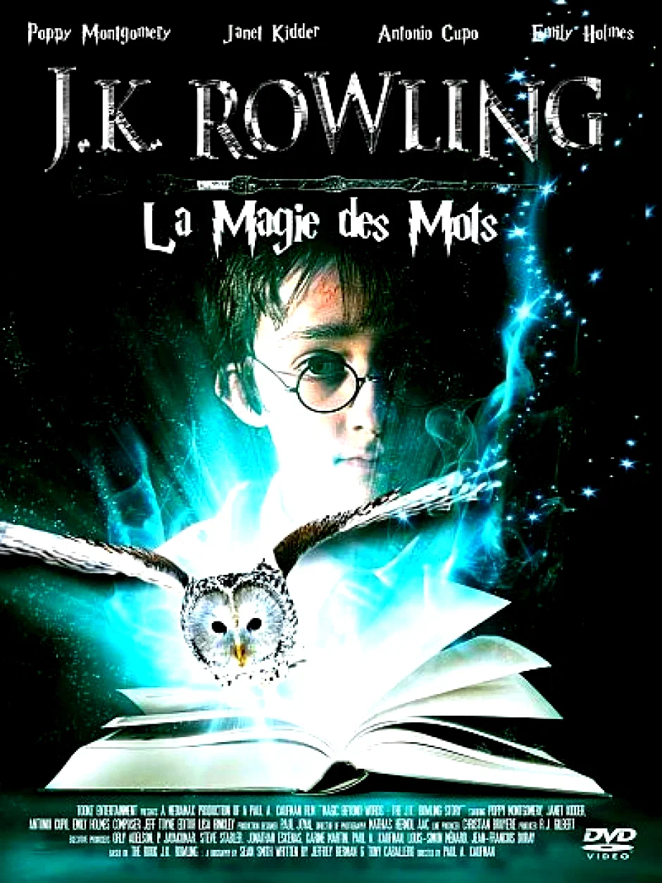 Affiche du film : The words 