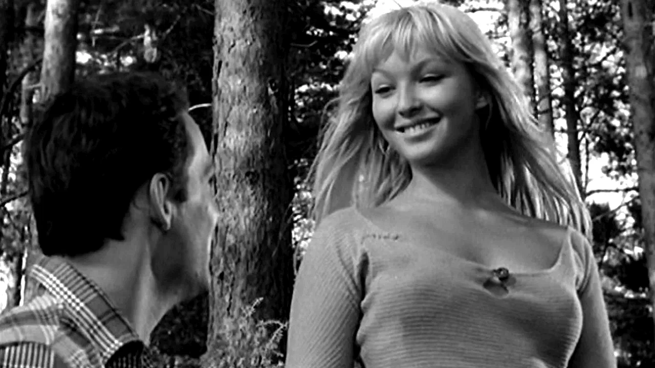 Photo 2 du film : La sorciere