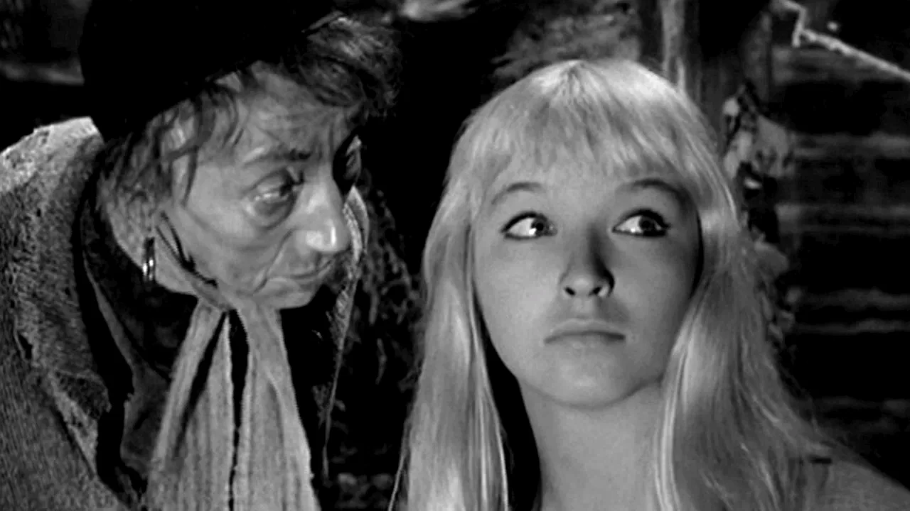 Photo 4 du film : La sorciere
