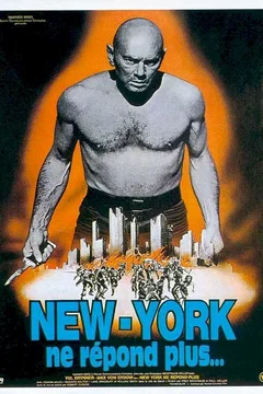 Affiche du film New York ne répond plus
