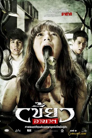 Affiche du film : The Intruder 