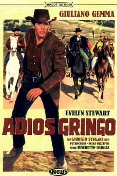 Affiche du film Adios gringo