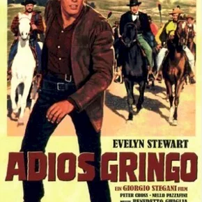 Photo du film : Adios gringo