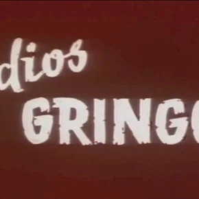 Photo du film : Adios gringo