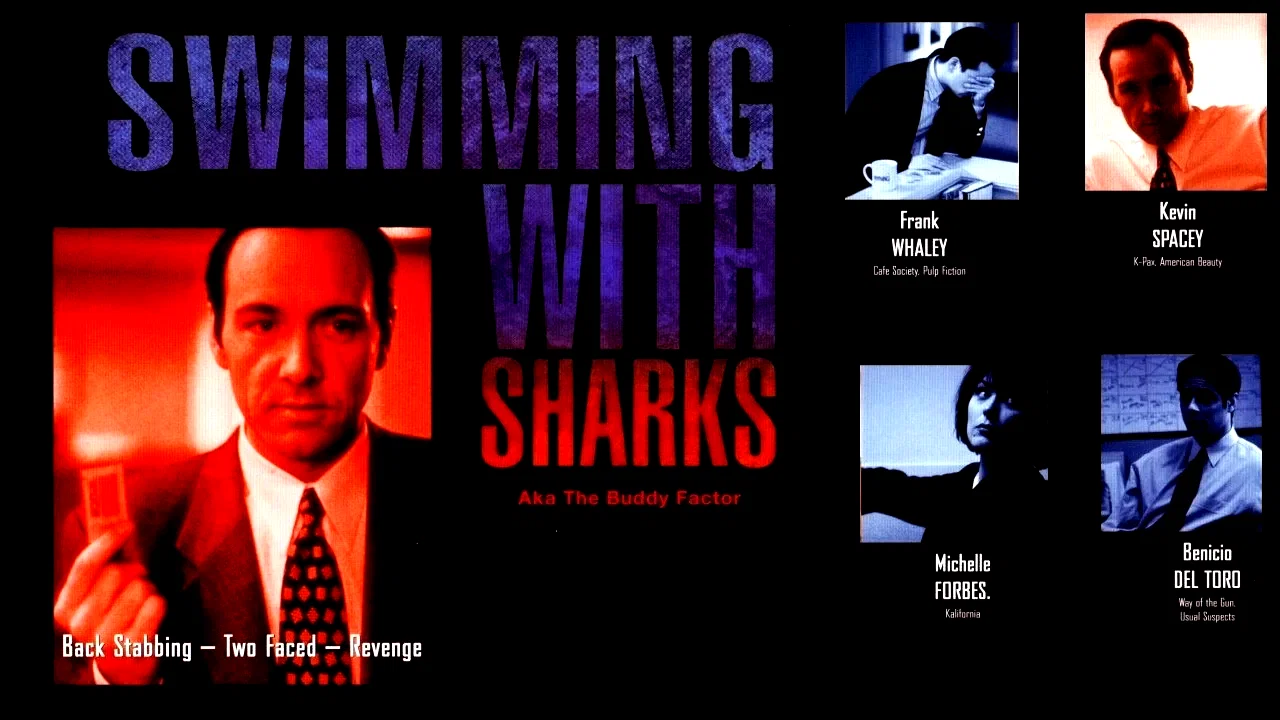 Photo 6 du film : Swimming with sharks