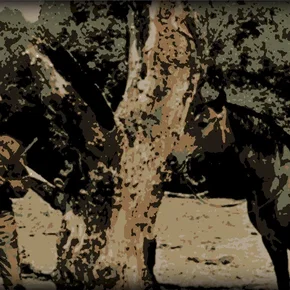 Photo du film : Ride lonesome