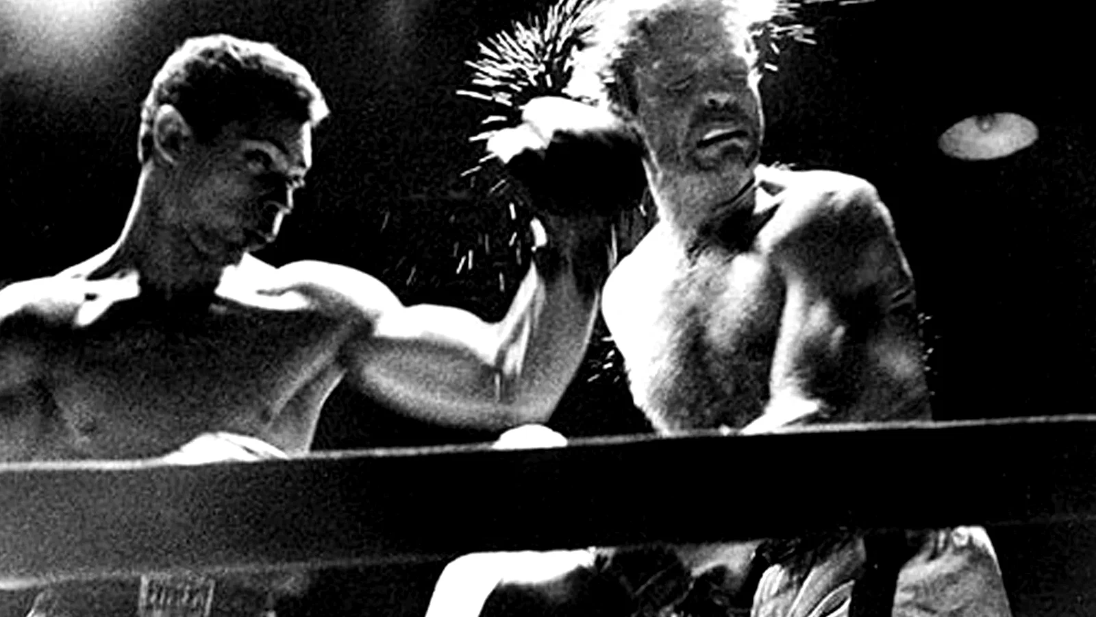 Photo 2 du film : Day of the fight