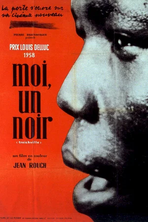 Affiche du film : Moi un noir