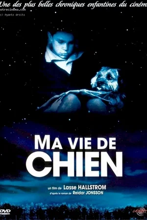 Affiche du film : Ma vie de chien