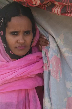 Affiche du film : Wilaya