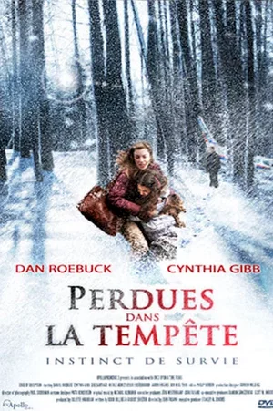 Affiche du film : La tempete