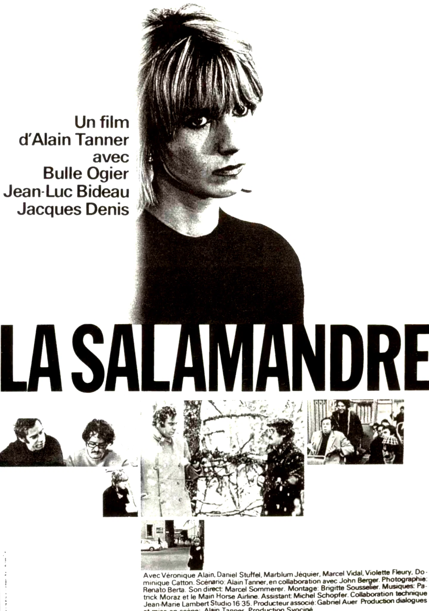 Affiche du film : La salamandre