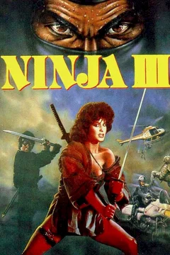 Affiche du film Ninja III