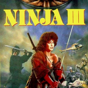 Photo du film : Ninja III