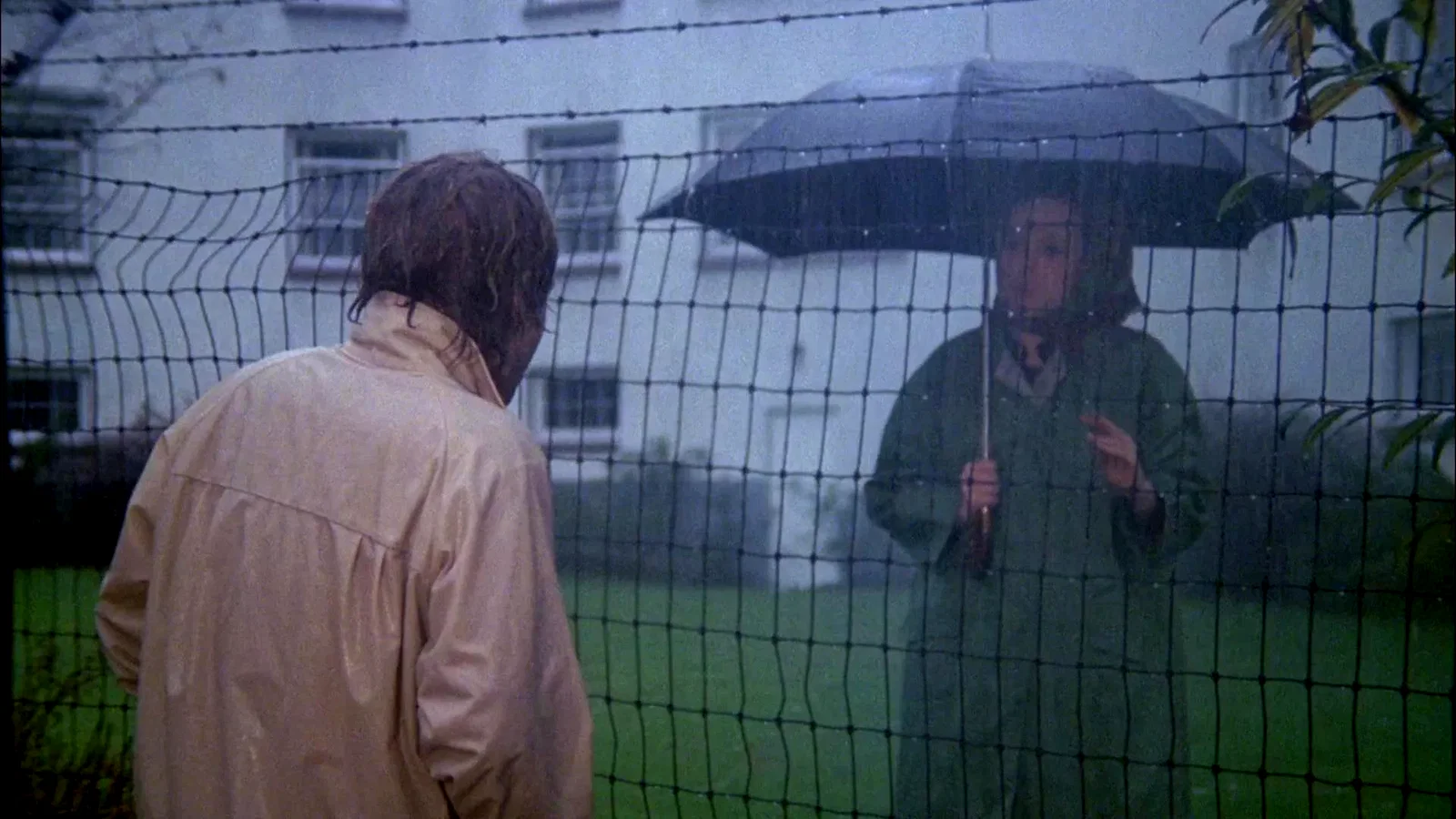 Photo 6 du film : That Cold Day in the Park