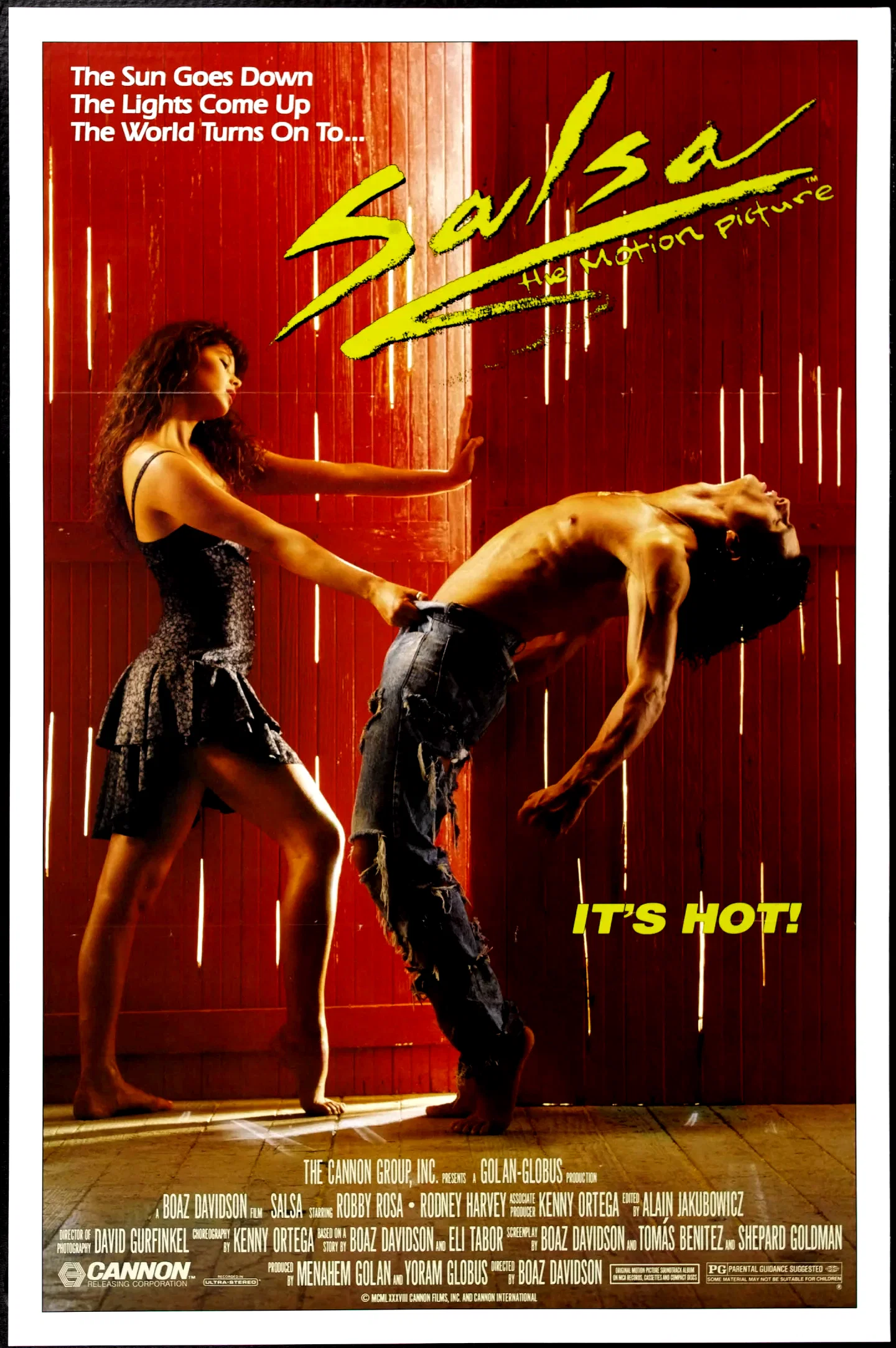 Affiche du film : Salsa