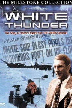 Affiche du film The viking