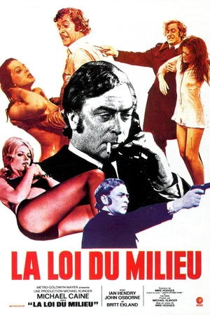 Affiche du film : La loi du milieu
