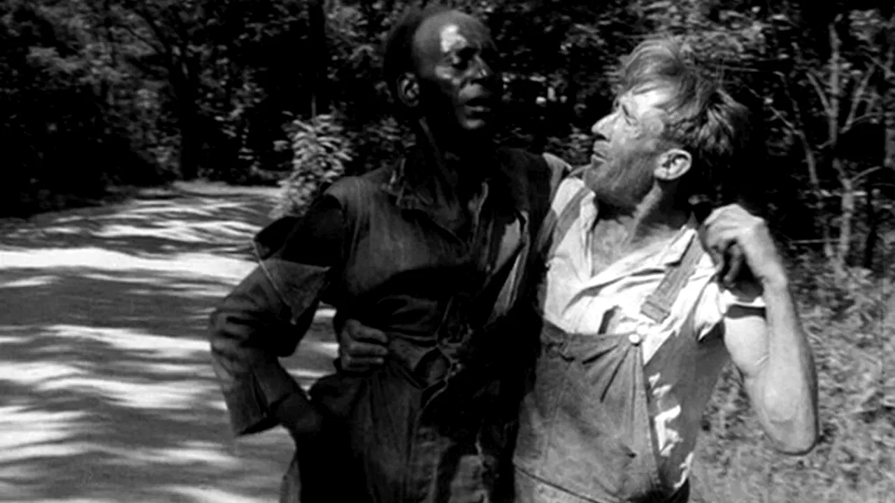 Photo 2 du film : Native land