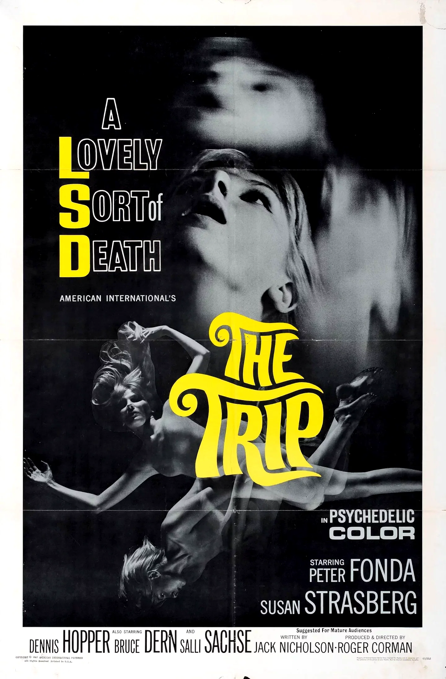 Affiche du film : The trip