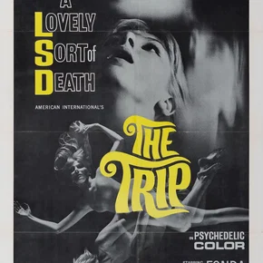 Photo du film : The trip