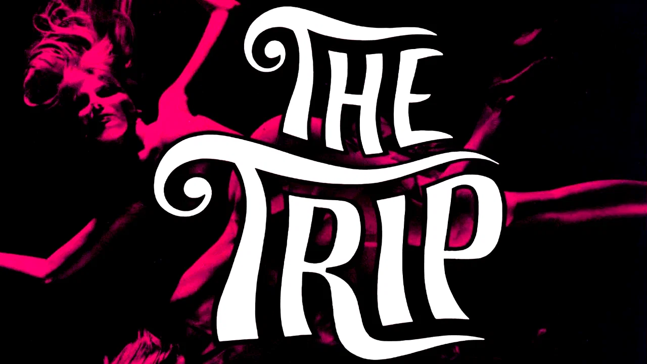 Photo 2 du film : The trip