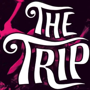 Photo du film : The trip
