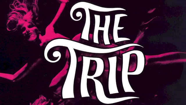 Photo 2 du film : The trip