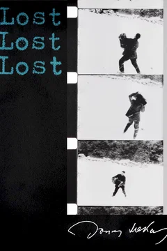 Affiche du film Lost, lost, lost
