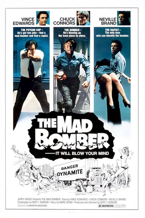 Affiche du film : Police connection