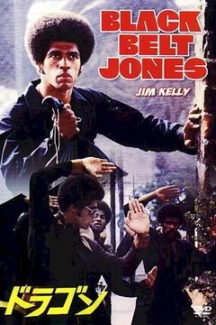 Affiche du film La ceinture noire
