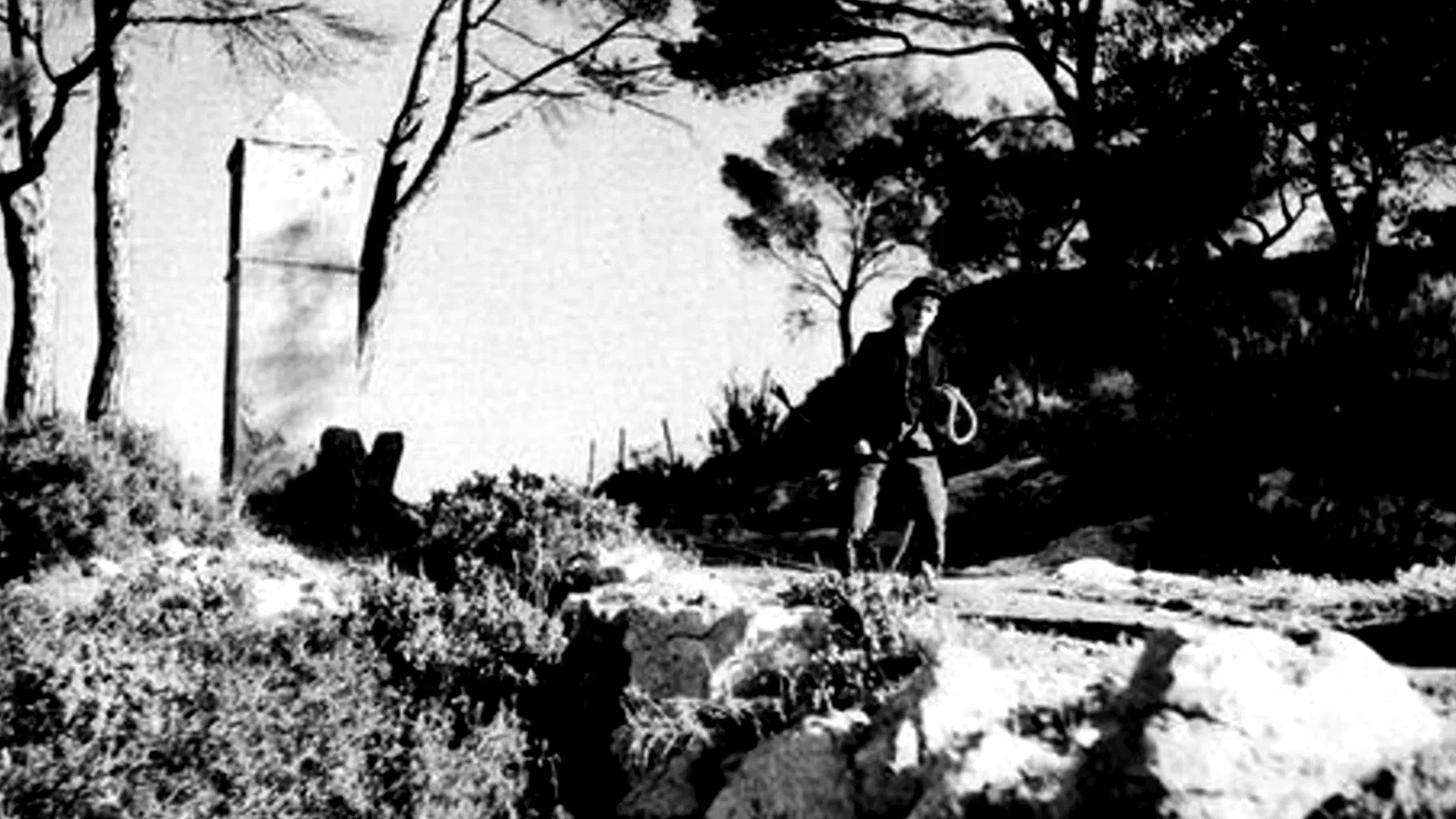 Photo 3 du film : Jofroi