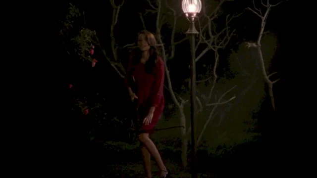 Photo 5 du film : Macabre