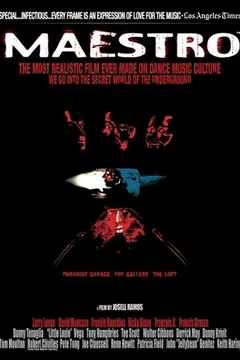 Affiche du film Maestro