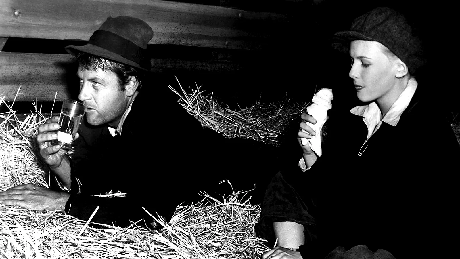 Photo du film : Les voyages de sullivan