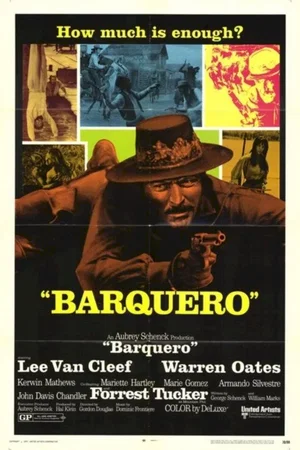 Affiche du film : Barquero