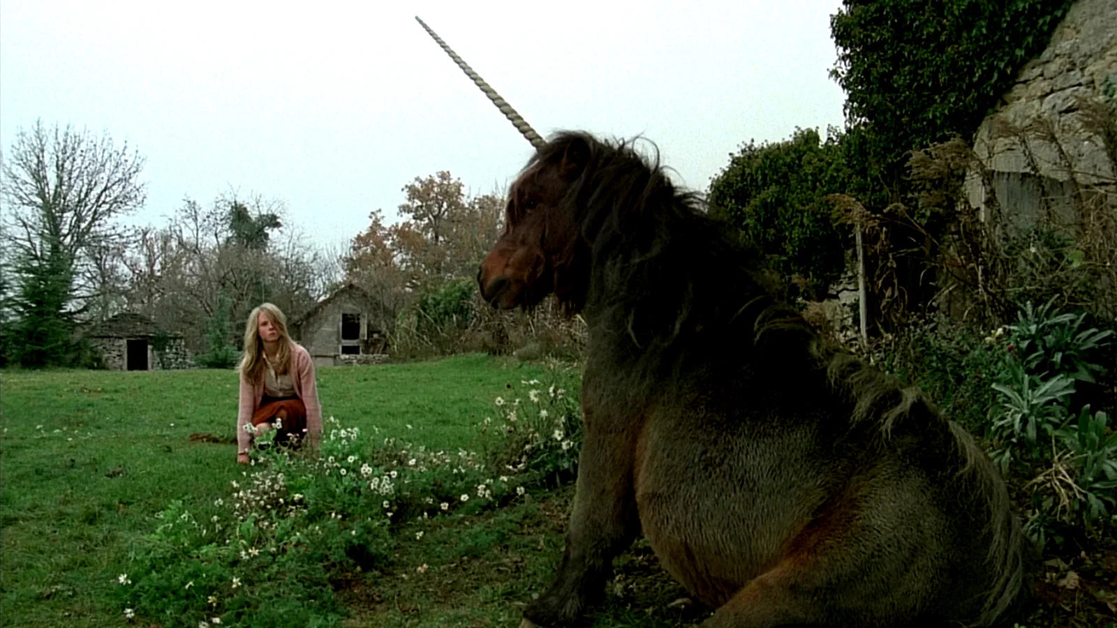 Photo 2 du film : Black moon