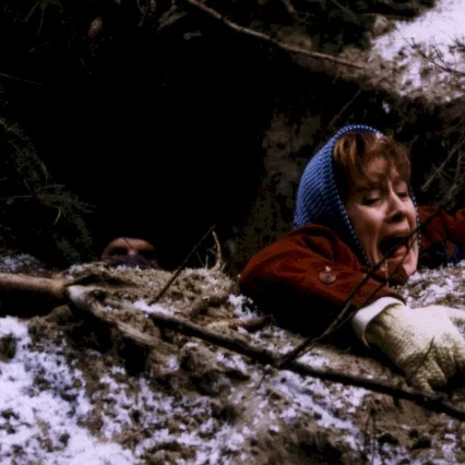 Miniature photo du film : The northerners
