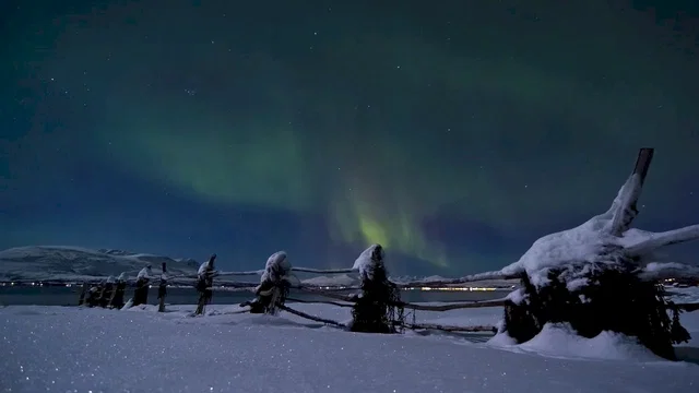 Photo 4 du film : Northern lights