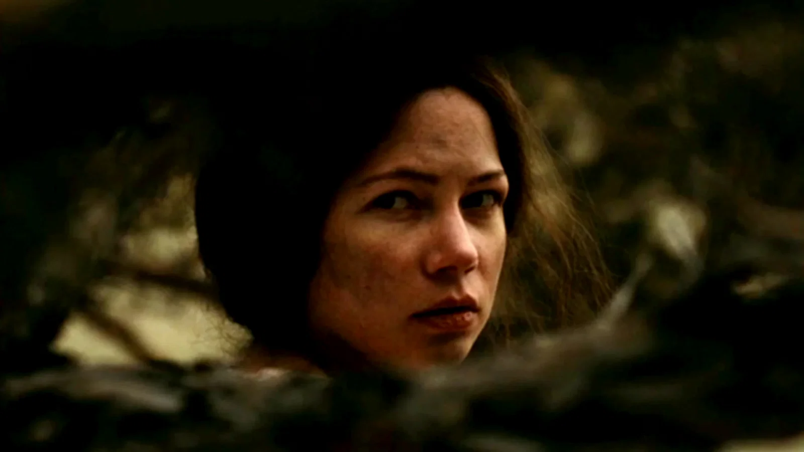 Photo 3 du film : Meek's Cutoff 