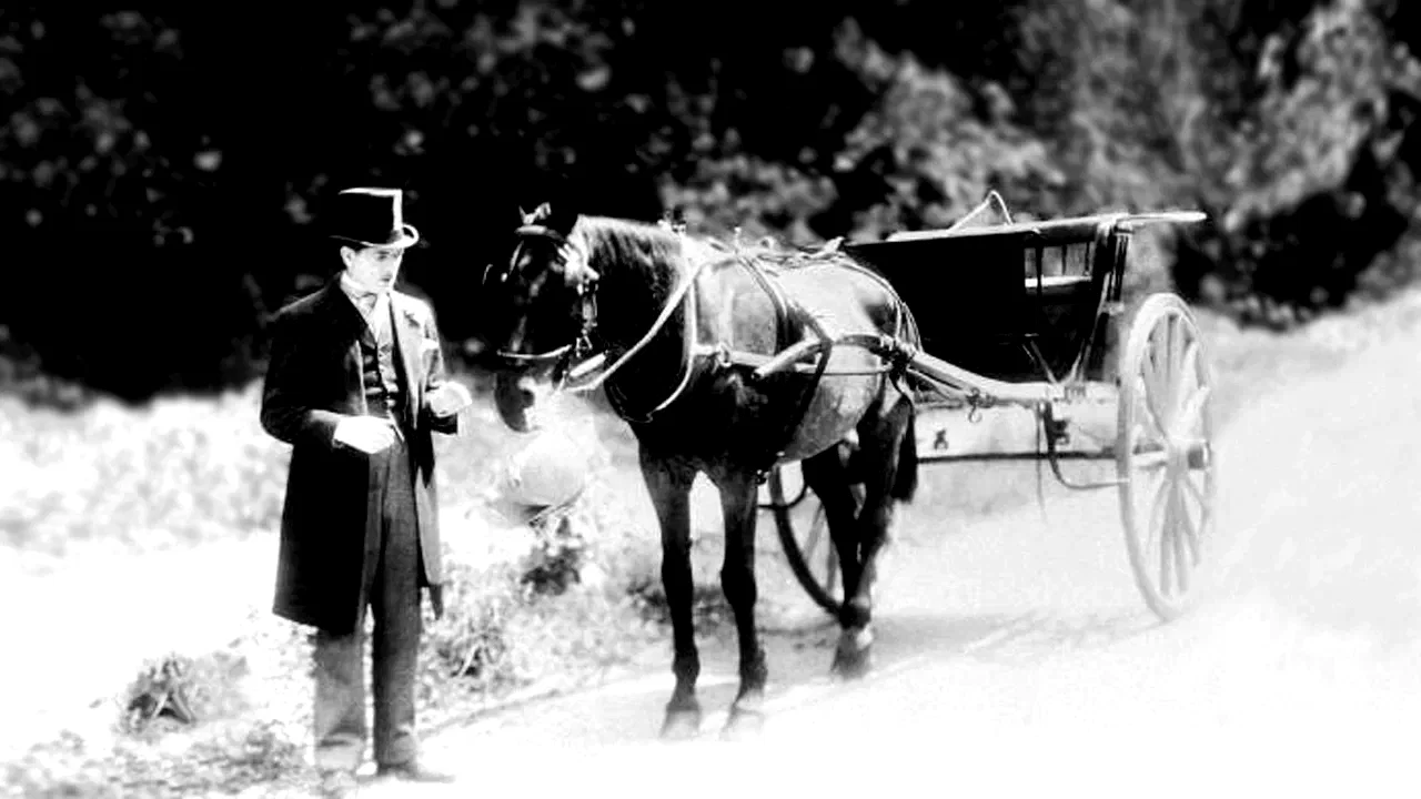 Photo du film : Un chapeau de paille d'Italie
