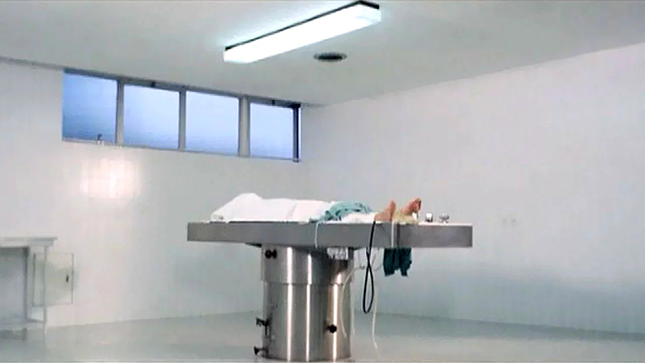 Photo 2 du film : Nuits d'amour et d'epouvante