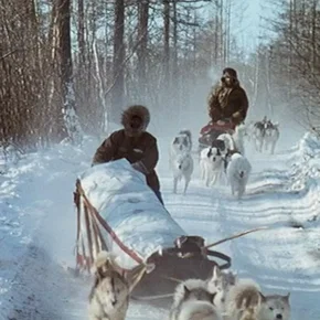 Photo du film : Le voyageur