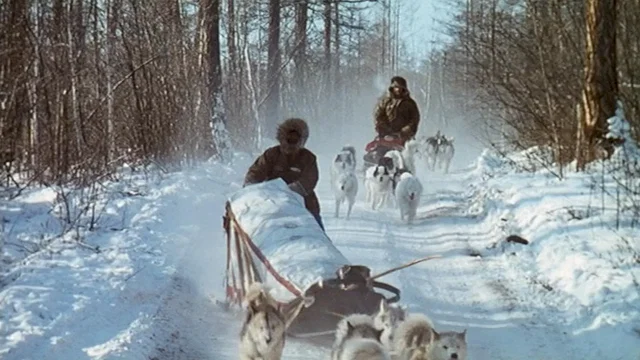 Photo 2 du film : Le voyageur
