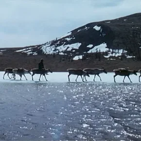 Photo du film : Le voyageur