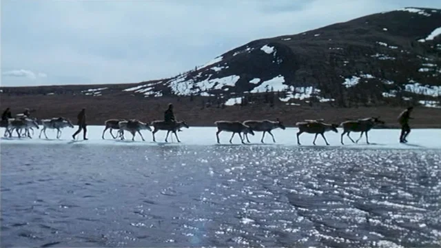 Photo 3 du film : Le voyageur