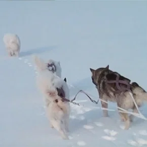 Photo du film : Le voyageur