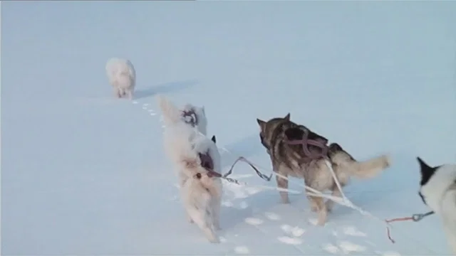 Photo 4 du film : Le voyageur