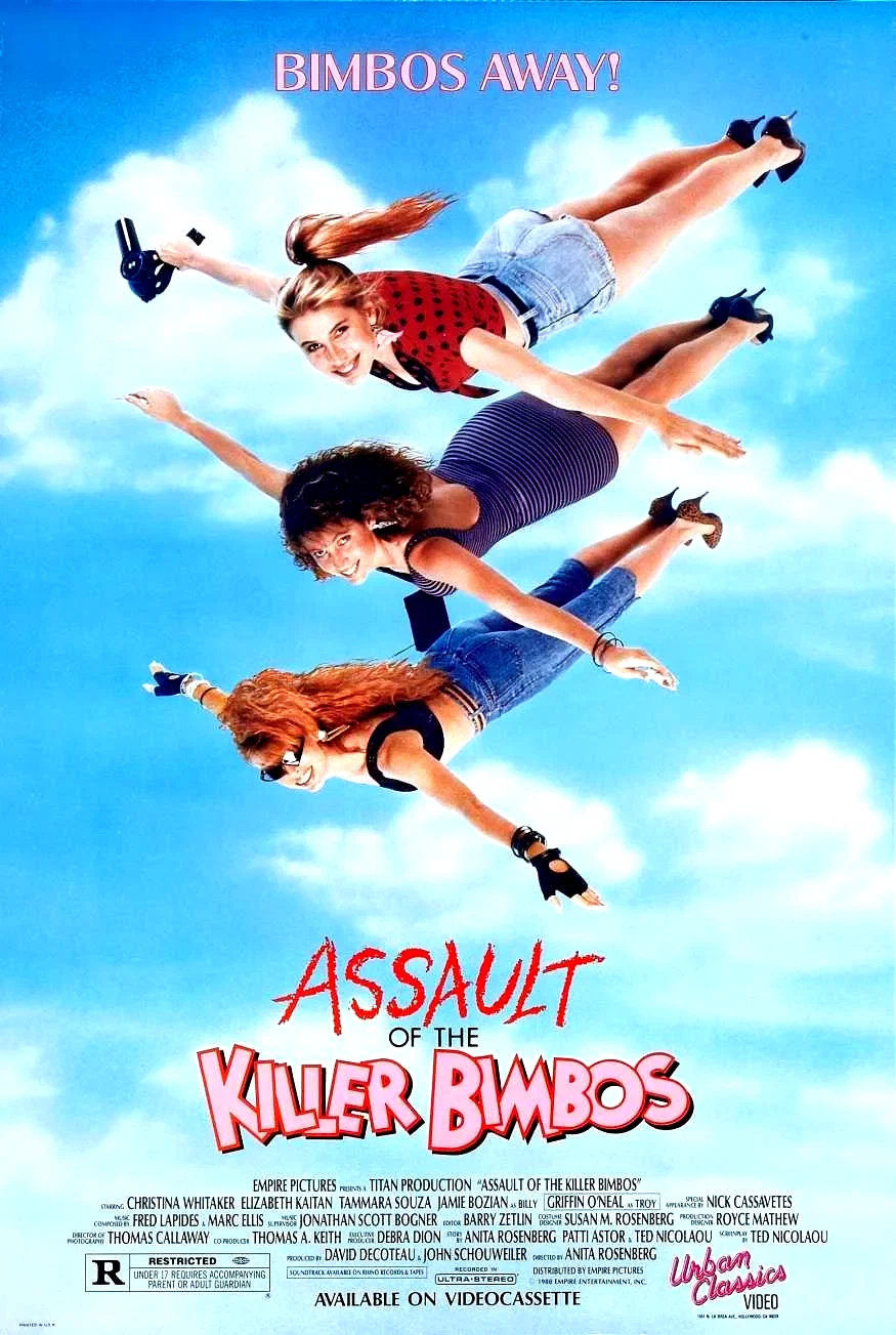 Affiche du film : The assault